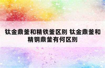 钛金鼎釜和精铁釜区别 钛金鼎釜和精钢鼎釜有何区别